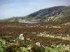 Arenig Fawr