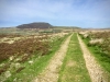 Arenig Fawr