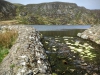 Arenig Fawr