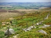 Arenig Fawr