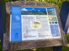 Cadair Idris, Dolgellau, Wales