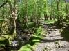 Cadair Idris, Dolgellau, Wales