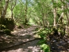 Cadair Idris, Dolgellau, Wales