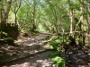 Cadair Idris, Dolgellau, Wales