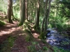 Glasdir Copper Trail, Dolgellau