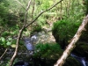 Glasdir Copper Trail, Dolgellau