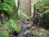 Glasdir Copper Trail, Dolgellau