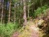 Glasdir Copper Trail, Dolgellau