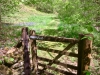 Glasdir Copper Trail, Dolgellau