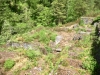 Glasdir Copper Trail, Dolgellau