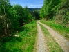 Lake Vyrnwy, Powys