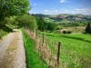 Lake Vyrnwy, Powys