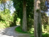 Lake Vyrnwy, Powys