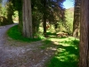 Lake Vyrnwy, Powys