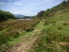 Precipice Walk, Dolgellau