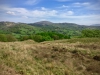 Precipice Walk, Dolgellau