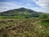 Precipice Walk, Dolgellau