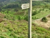 Precipice Walk, Dolgellau