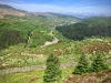 Precipice Walk, Dolgellau