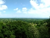 Alderley Edge, Cheshire [29/05/2016]