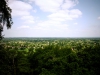 Alderley Edge, Cheshire [29/05/2016]