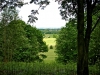 Alderley Edge, Cheshire [29/05/2016]