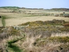 Anglesey