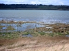 Malltraeth, Anglesey