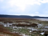 Malltraeth, Anglesey