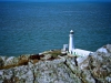 South Stack, Anglesey