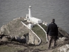 South Stack, Anglesey