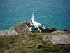 South Stack, Anglesey