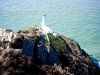 South Stack, Anglesey