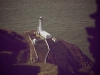 South Stack, Anglesey