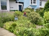 Beaumaris, Anglesey [05/07/2025]