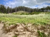 Newborough Forest & Llanddwyn Beach, Anglesey [07/07/2025]
