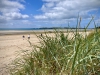 Newborough Forest & Llanddwyn Beach, Anglesey [07/07/2025]