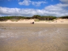 Newborough Forest & Llanddwyn Beach, Anglesey [07/07/2025]