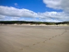 Newborough Forest & Llanddwyn Beach, Anglesey [07/07/2025]