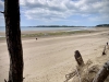 Newborough Forest & Llanddwyn Beach, Anglesey [07/07/2025]