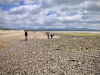 Newborough Forest & Llanddwyn Beach, Anglesey [07/07/2025]