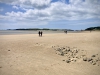 Newborough Forest & Llanddwyn Beach, Anglesey [07/07/2025]