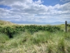 Newborough Forest & Llanddwyn Beach, Anglesey [07/07/2025]