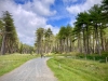 Newborough Forest & Llanddwyn Beach, Anglesey [07/07/2025]