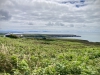 South Stack Lighthouse, Holyhead, Anglesey [08/07/2025]