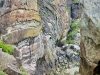 South Stack Lighthouse, Holyhead, Anglesey [08/07/2025]