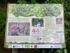 The Dingle Nature Reserve, Llangefni [05/07/2025]