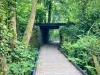 The Dingle Nature Reserve, Llangefni [05/07/2025]