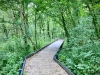 The Dingle Nature Reserve, Llangefni [05/07/2025]