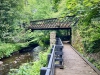 The Dingle Nature Reserve, Llangefni [05/07/2025]
